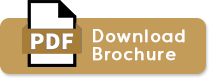 PDF brochure button